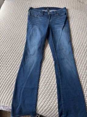 True Religion Women's Dark Blue Flare Jeans